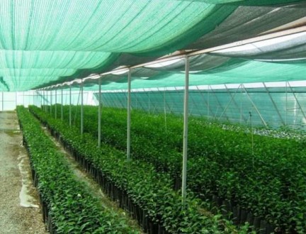 Сітка затіняюча з UV 70% затінення (8*50м) Угорщина. Харків. фото 1 Сітка затіняюча з UV 70% затінення (8*50м) Угорщина. Харків. фото 1