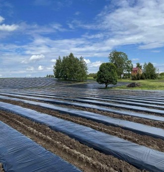 Участок коммерческого назначения. Львів. фото 1 Участок коммерческого назначения. Львів. фото 1