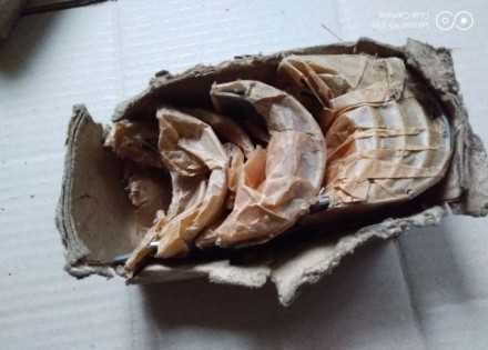 вкладыши коренные 1,00 зил 157 новые ссср. Киев. фото 1