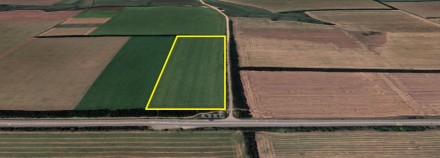 Продаж фасадної земельної ділянки площею 15.3га - на трасі Одеса–Київ.. Желепово. фото 1 Продаж фасадної земельної ділянки площею 15.3га - на трасі Одеса–Київ.. Желепово. фото 1