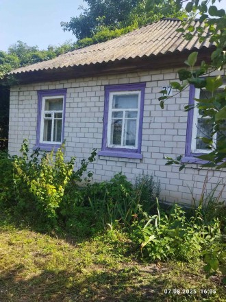 Продаж будинку в м. Чигирин Черкаської області. Чигирин. фото 1 Продаж будинку в м. Чигирин Черкаської області. Чигирин. фото 1
