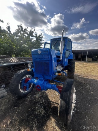 Продам Трактор!!! Т40 АМ.. Савинці. фото 1
