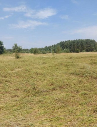 участок, 10.00 сот. Ясногородка. фото 1