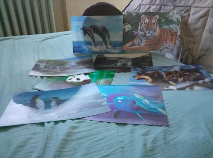 Підтарильники з красивими краєвидами та тваринами 8 шт. 100 грн.. Київ. фото 1