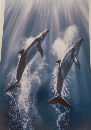 Обогреватель настенный пленочный инфракрасный экономичный  "Картина. Киты", 200 . Днепр. фото 1