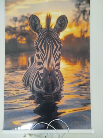 Обогреватель настенный пленочный инфракрасный экономичный  "Картина. Зебра", 450. Днепр. фото 1