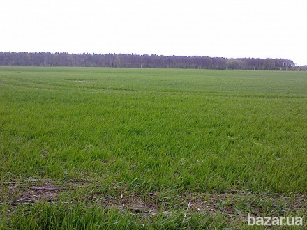 ПРОДАМ УЧАСТОК  Житомирская ТРАССА!!!. Киев. фото 1