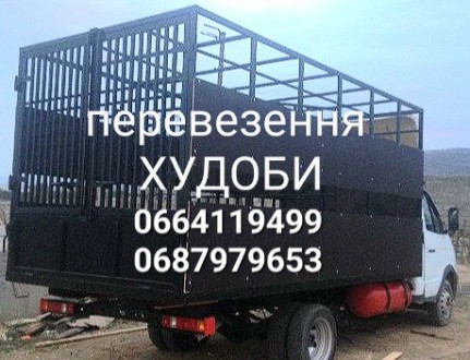 ВРХ,СВИНІ ПЕРЕВОЗКА. Харьков. фото 1