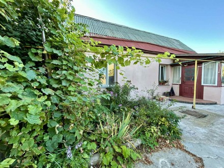 Будинок у Демидові — всього 30 хв до Києва!. Демидов. фото 1