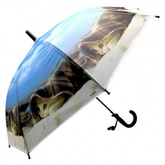 Детский зонтик КОТИК (ЧЕРНЫЙ). Борисполь. фото 1