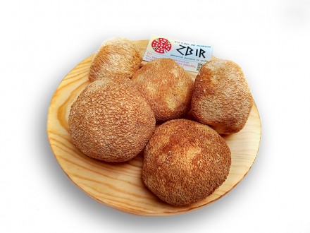 Їжовик Гребінчастий (Hericium erinaceus), цілі плоди. Новые Санжары. фото 1