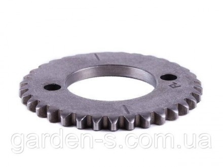 Зірка розподівала Z-34 YBX на бензиновий двигун СВ-250С. Одеса. фото 1