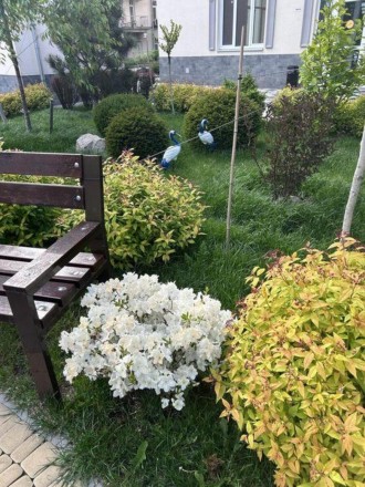 Продам 3х кімнат квартиру на Краківській 4б метро Дарниця 5 хв пішки. Затишний б. . фото 3