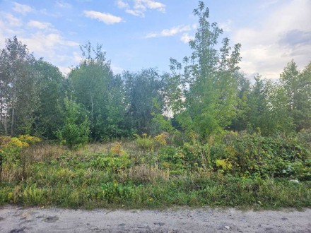 Продам 2 земельні ділянки по 0,12 га  Дарницький район, Осокорки, провулок Півні. . фото 3