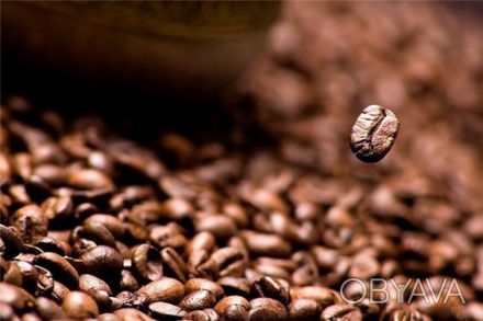 Компанія-виробник «Українська кавова компанія ЛТД» пропонує моносорт. . фото 1