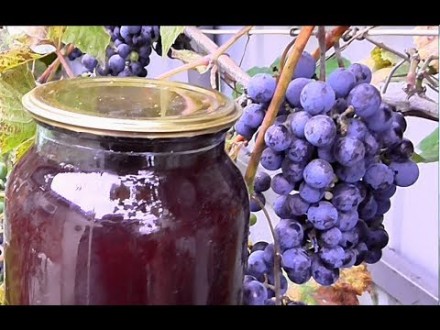 Сок с винограда, натуральный, без воды и сахара, с вкусных, элитных сортов виног. . фото 4
