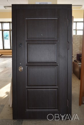 Двері металеві розміри стандарт 860х2050, 960х2050  2 петли на опорній кулі 20мм. . фото 1