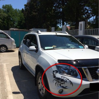 Любителям приукрасить свой автомобиль хотим предложить стильную наклейку Скорпио. . фото 4