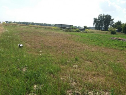 Продам земельну ділянку не дорого Рудня. Бровари. фото 1 Продам земельну ділянку не дорого Рудня. Бровари. фото 1