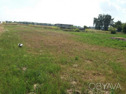 Продам земельну ділянку 7 соток (ОСГ) в селі Рудня, Броварського району. Підведе. . фото 1