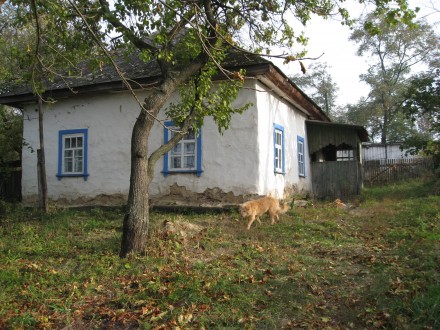 Дом в с. Сошникове- Бориспольский р-н.. Борисполь. фото 1 Дом в с. Сошникове- Бориспольский р-н.. Борисполь. фото 1