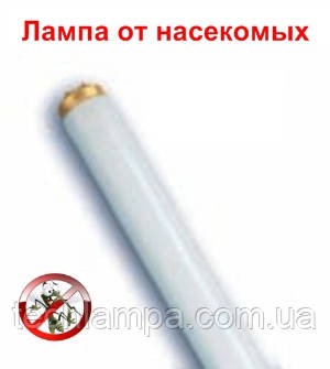 Ультрафиолетовая инсектицидная лампа к уничтожителю насекомых F40T12BL. Київ. фото 1 Ультрафиолетовая инсектицидная лампа к уничтожителю насекомых F40T12BL. Київ. фото 1