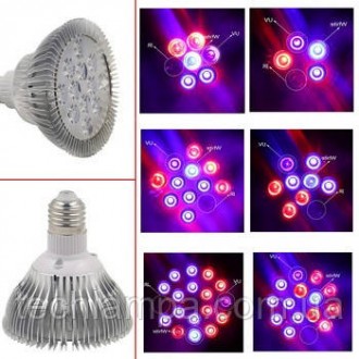 Фитолампы Led Full 15W E27. Київ. фото 1 Фитолампы Led Full 15W E27. Київ. фото 1