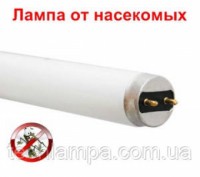 Ультрафиолетовая инсектицидная лампа к уничтожителю насекомых F36T8BL Philips. Київ. фото 1 Ультрафиолетовая инсектицидная лампа к уничтожителю насекомых F36T8BL Philips. Київ. фото 1