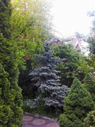 Продам дом для большой семьи на Шатиловке, в экологически чистом районе, в самом. Нагорный. фото 13