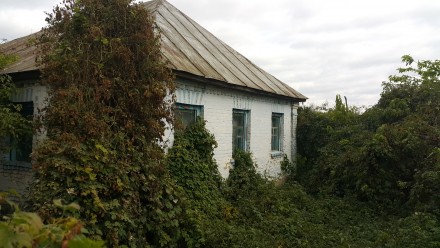 Продам дом с. Подлесное , Козелецкого района Черниговской обл.. Козелец. фото 1 Продам дом с. Подлесное , Козелецкого района Черниговской обл.. Козелец. фото 1