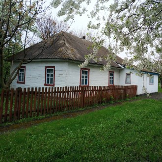 Продам дом. Брусилов. фото 1 Продам дом. Брусилов. фото 1