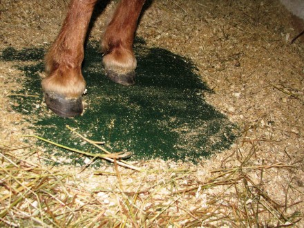 Бесшовное покрытие из резиновой крошки для мест содержания животных (коровники, . . фото 6
