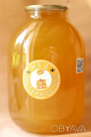 Продам травневий мед з власної пасіки (ріпак, сади, різнотрав'я, акація). Ц. . фото 1