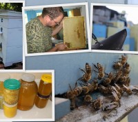 Продам натуральный мед подсолнух с разнотравьем со своей пасеки, урожай 2020 год. . фото 3