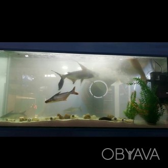 Новый аквариум на 600л
Розмер: 210см-34см-80 
Интернет-магазин.
Доставка по К. . фото 1