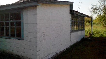 Продам частный дом в селе Ничипоровка, Яготинского района Киевской области.

Д. Ничипоровка. фото 3