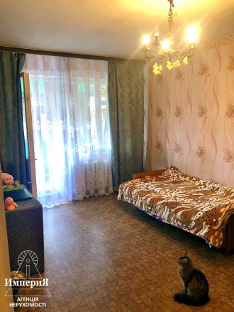 Продам однокомнатную квартиру в Центре города по бульвару Грушевского (бывший 1-. Центр. фото 3