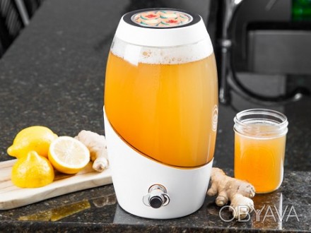 Продам комбучу, чайный гриб, комбуча, kombucha, квас,