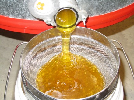 Продам натуральный мед 2023 с собственной пасеки. Разнотравье с подсолнечником 3. . фото 5