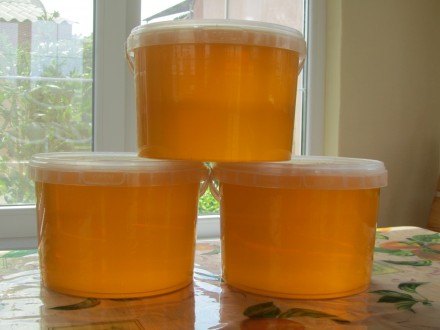 Продам натуральный мед 2023 с собственной пасеки. Разнотравье с подсолнечником 3. . фото 2