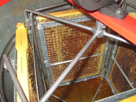 Продам натуральный мед 2023 с собственной пасеки. Разнотравье с подсолнечником 3. . фото 4