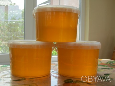 Продам натуральный мед 2023 с собственной пасеки. Разнотравье с подсолнечником 3. . фото 1