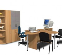 Мебель для офиса , ДСП 16мм, цвет "БУК", "ЯБЛОНЯ","Дуб молочный",   "Орех", "Вен. . фото 3