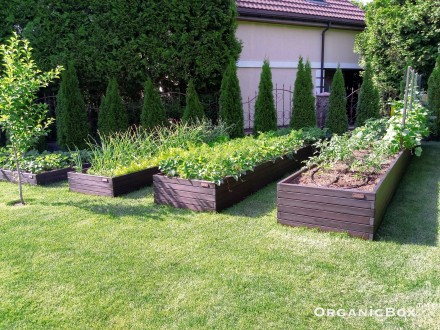 Декоративный огород – максимально практичный, популярный, красивый и удобн. . фото 8