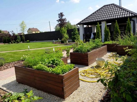 Декоративный огород – максимально практичный, популярный, красивый и удобн. . фото 9