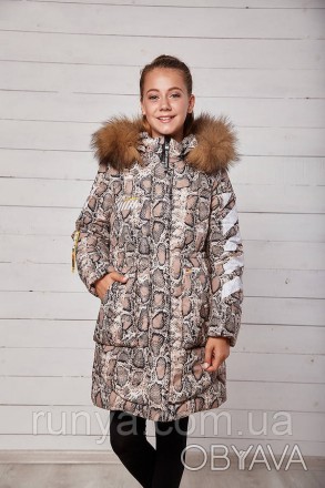 Куртка зимняя для девочки подростка «Софи» TM Manifik.Куртка застегивается на мо. . фото 1