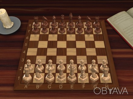 Міжнародний майстер проводить індивідуальні заняття для шахістів від початківців. . фото 1