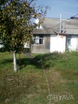 Продам квартиру как частный дом в Шамраевке около сахарного завода недалеко от Б. Шамраевка. фото 1