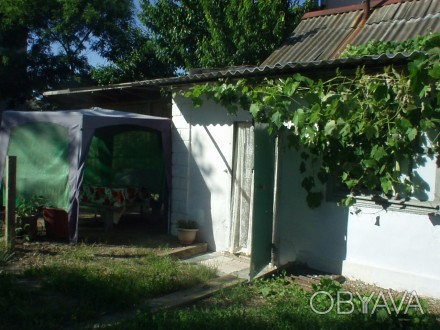 Сдам посуточно домики. Свои. Недорого.