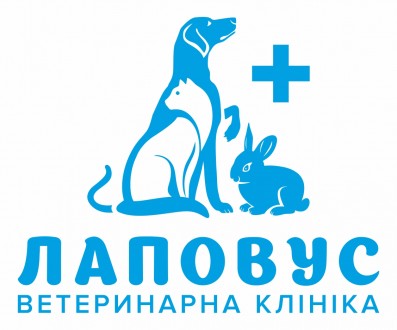Кастрація кота, кастрація кобеля, кастрація тхора.. Киев. фото 1 Кастрація кота, кастрація кобеля, кастрація тхора.. Киев. фото 1